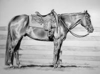 Equine - Ready And Waiting - Graphite