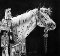 Equine - Pride Of The Nez Perce - Graphite